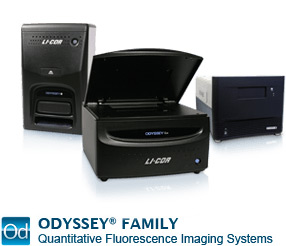 Odyssey Family